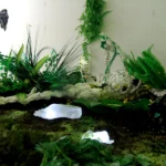 Installation mit Kunststoffplastiken von Svenja Ritter